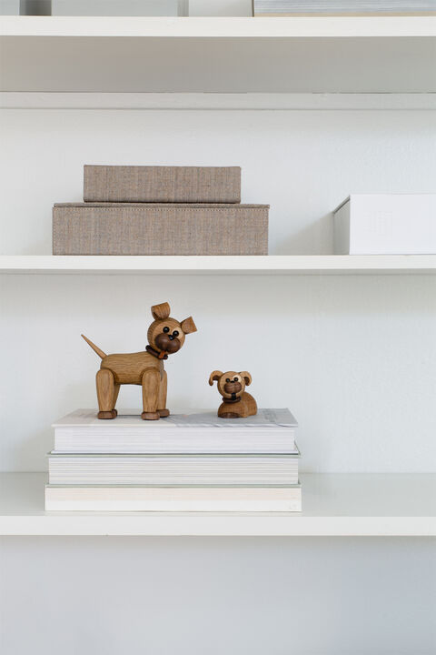 Coco Hvalp/Puppy liggende