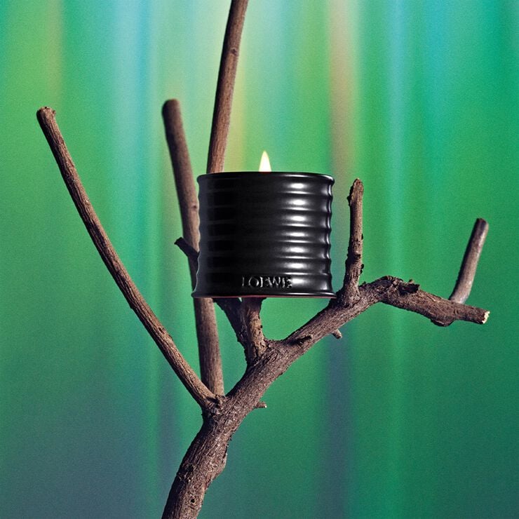 LOEWE Palo Santo Small Candle