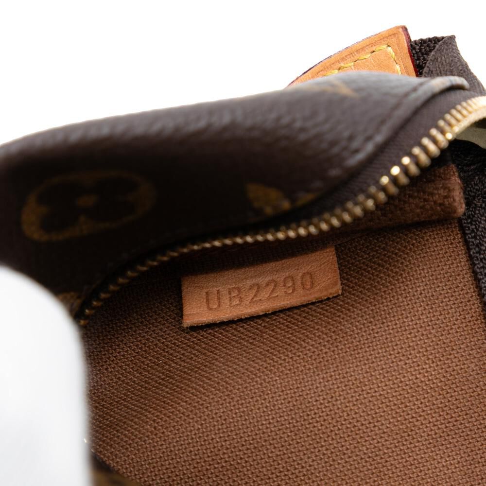 Louis Vuitton Pochette Accessoires