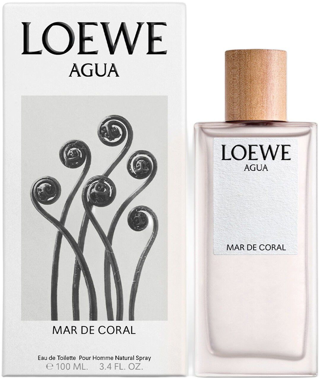 LOEWE Agua Mar de Coral Eau de Toilette