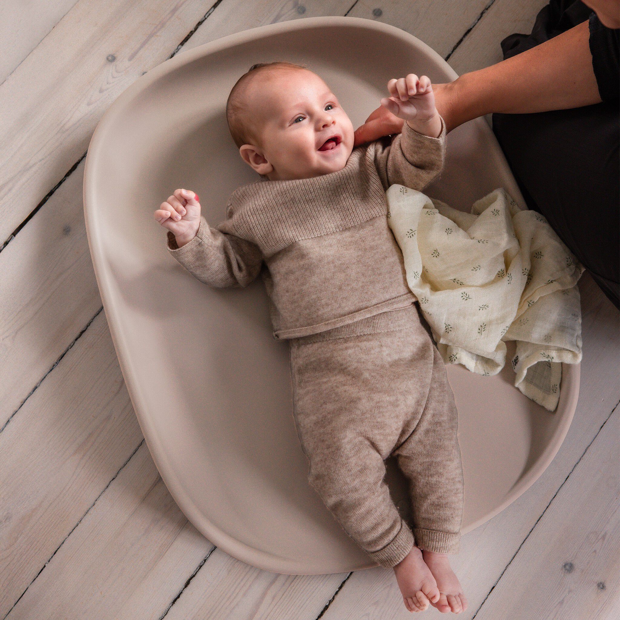 Sebra puslepude, birchbark rose