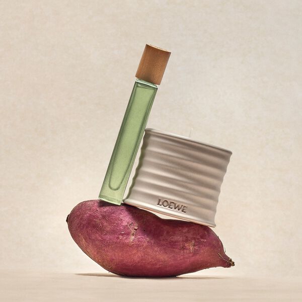 LOEWE Oregano Small Candle
