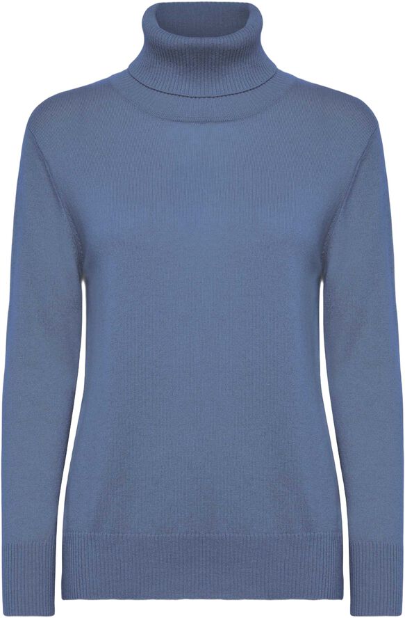 RWLaica Cashmere LS Roll Neck