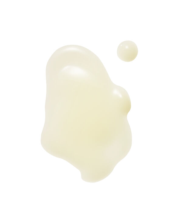 The Shroom Essence Multi-depth hydration fluid