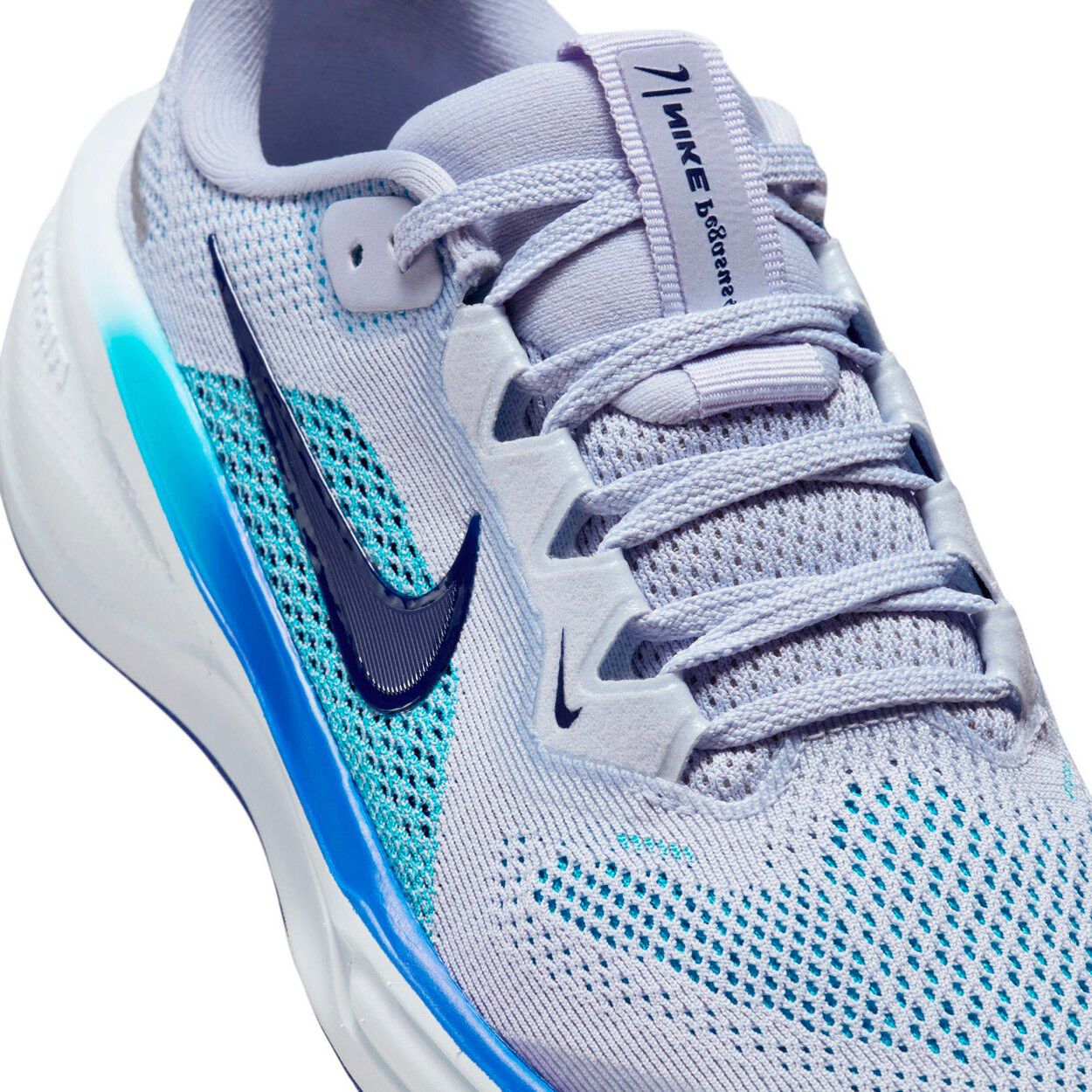 Pegasus 41 L&oslash;besko