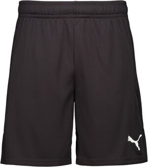 TEAMLIGA TRAINING SHORTS