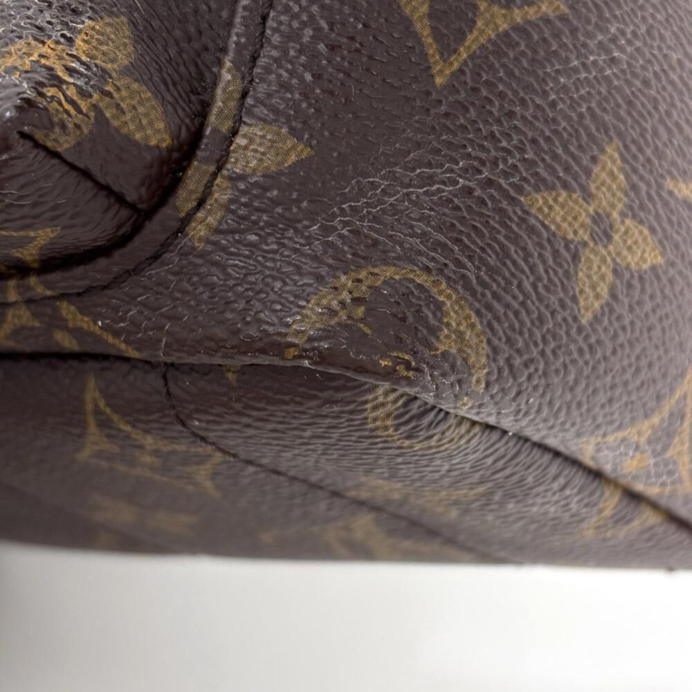 Louis Vuitton Palm Springs