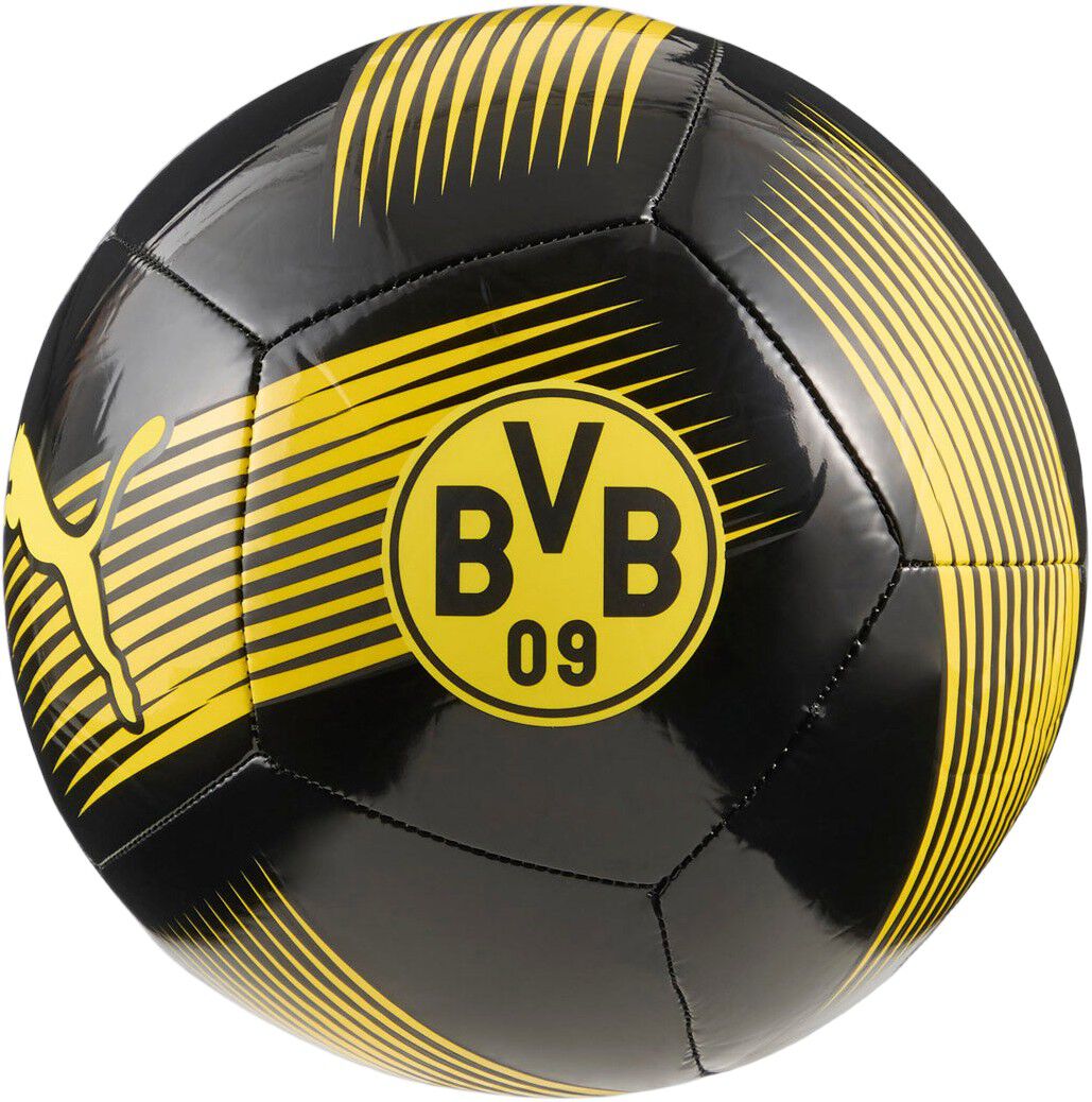 Dortmund Fodbold