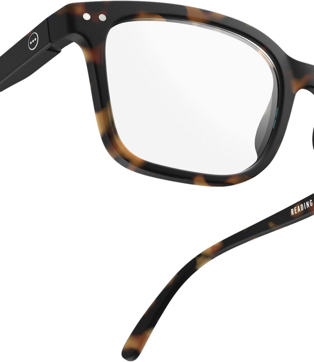 READING  #L Tortoise