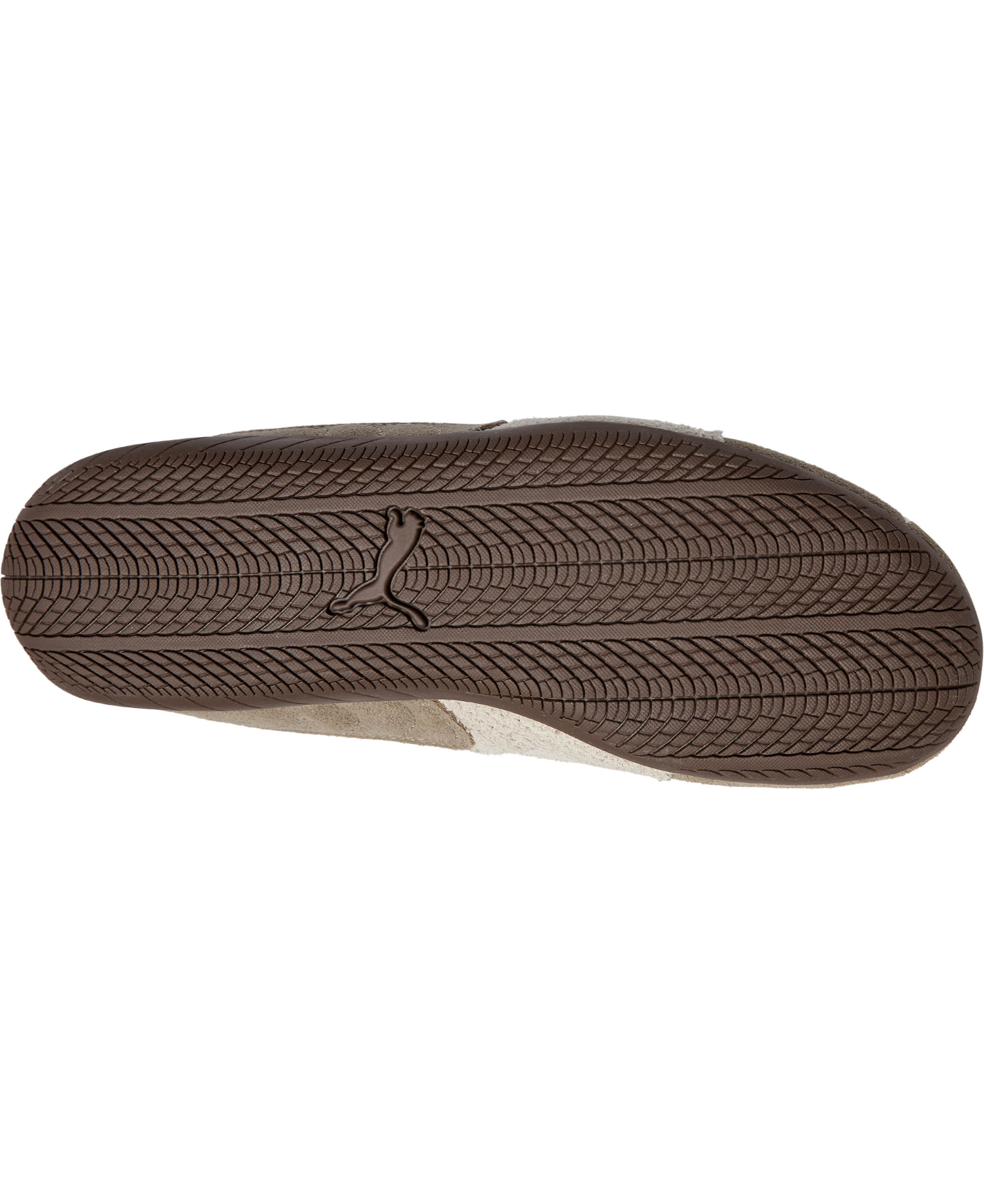 Speedcat Elevated Wns