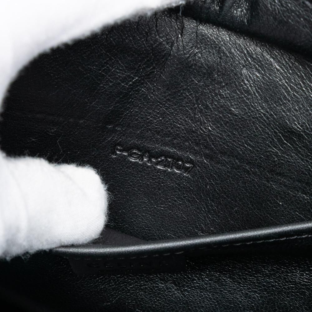 Celine Luggage