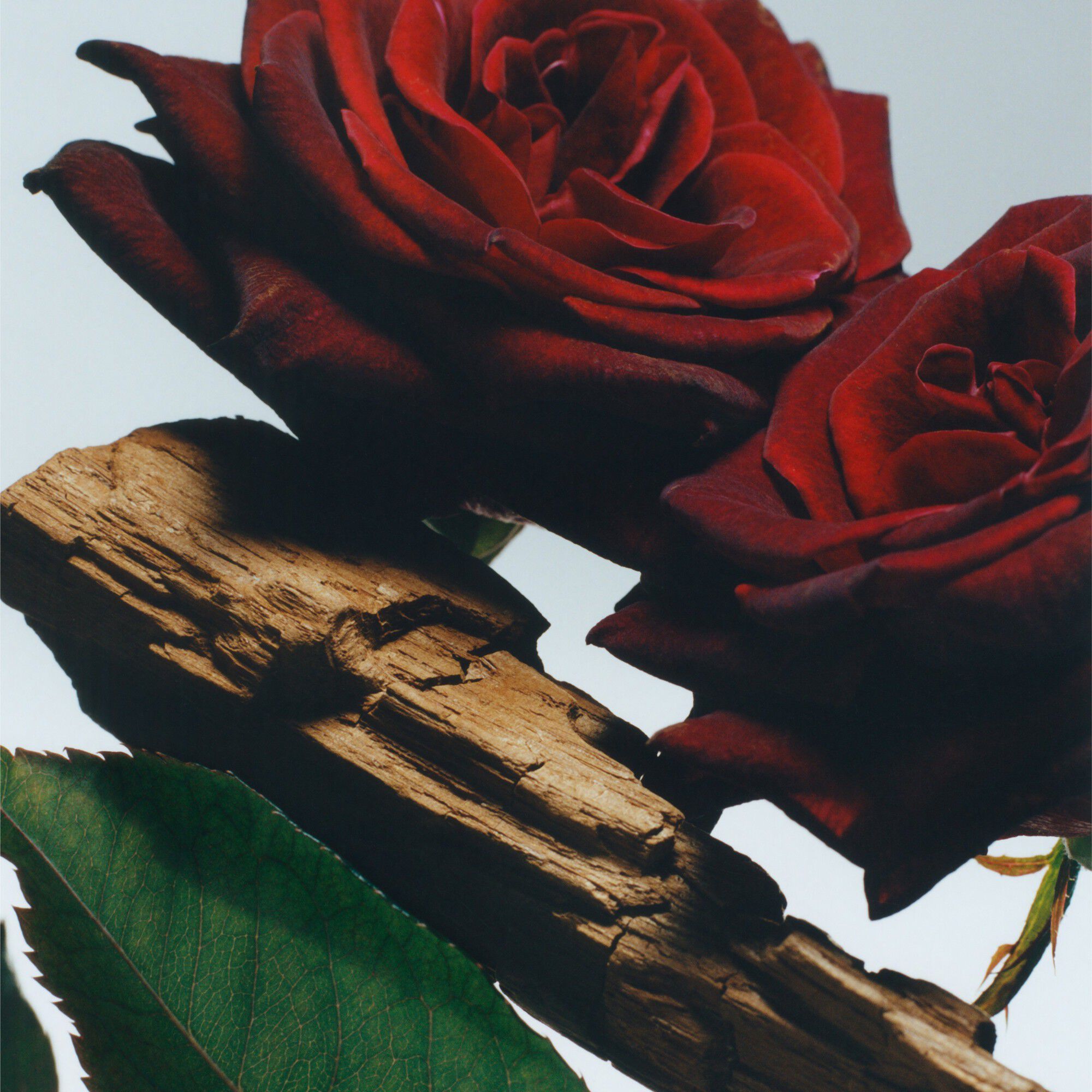 ALL OVER BODY SPRAY VR&O 125ML/3. 8O