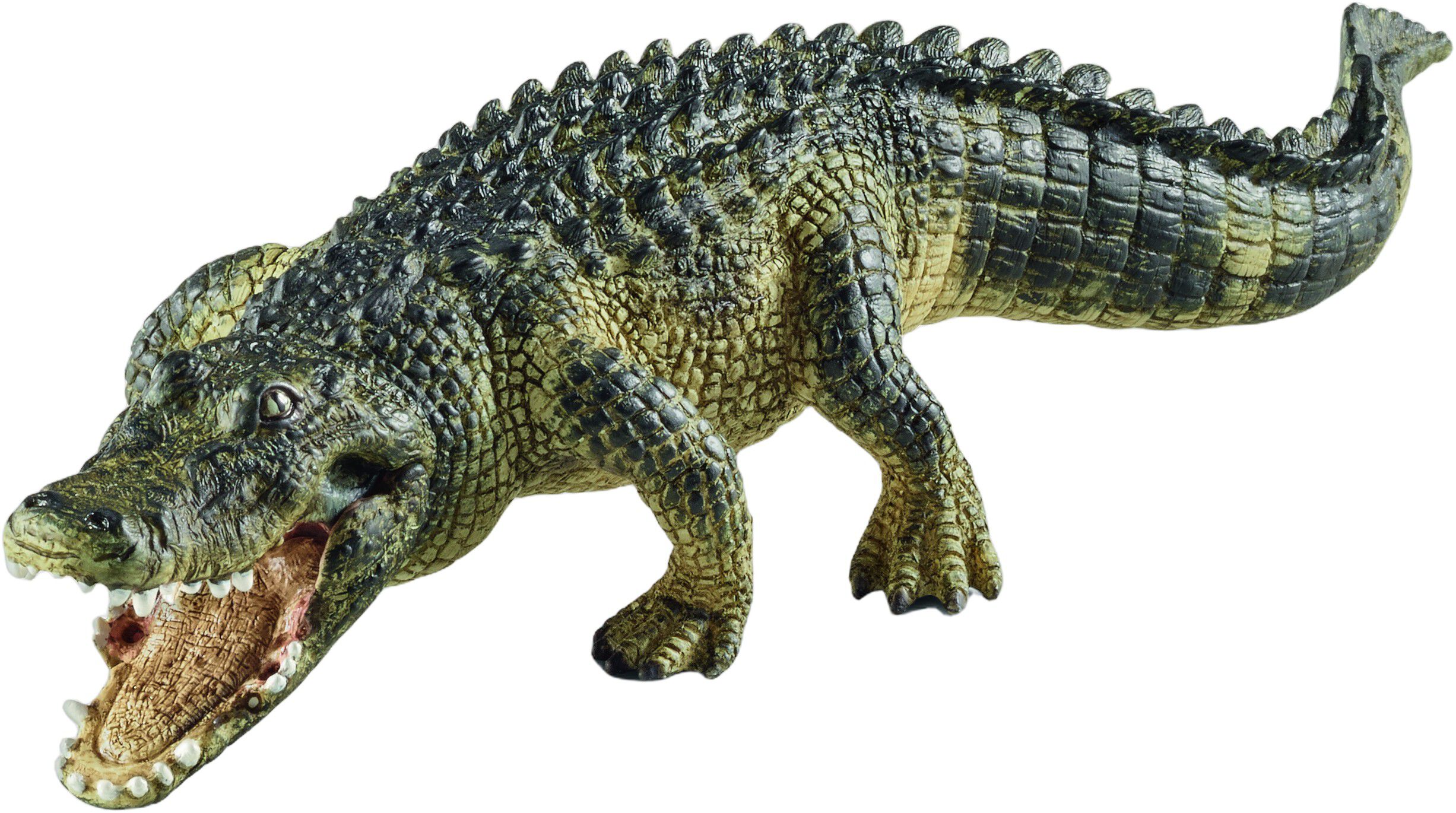 Sch Alligator *Grey