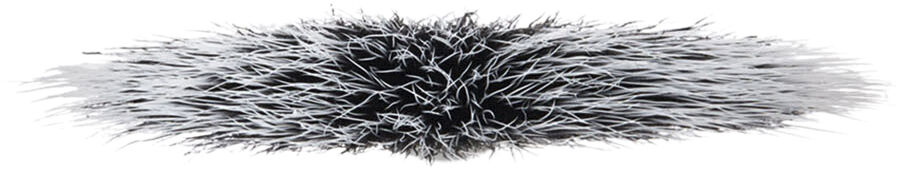 Brush 184S Duo Fibre Fan