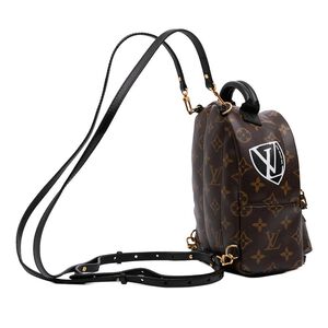 Louis Vuitton Palm Springs