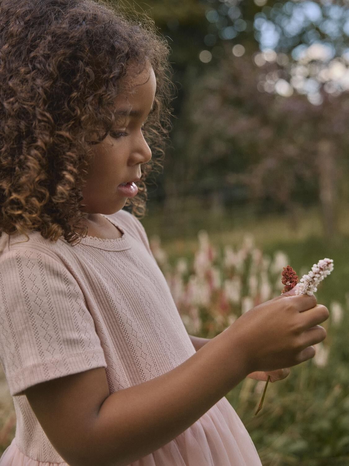 NMFFANELLA SS TULLE DRESS LIL