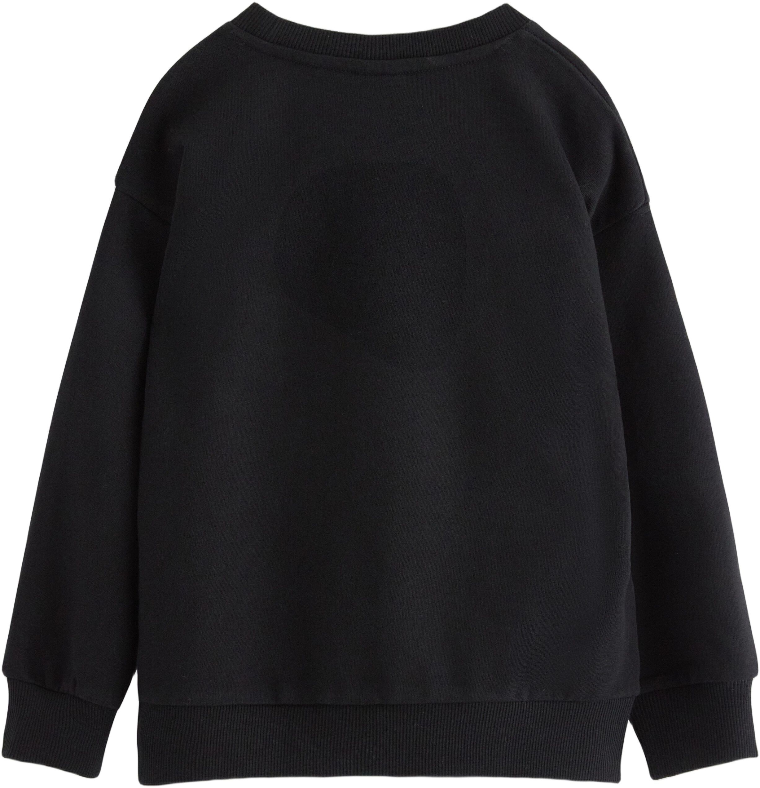 Sweatshirt in soft cotton jersey wi