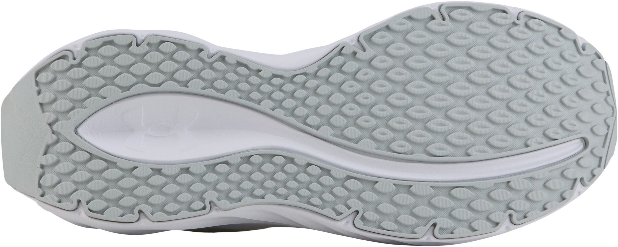 Ascend Tr&aelig;ningsssko