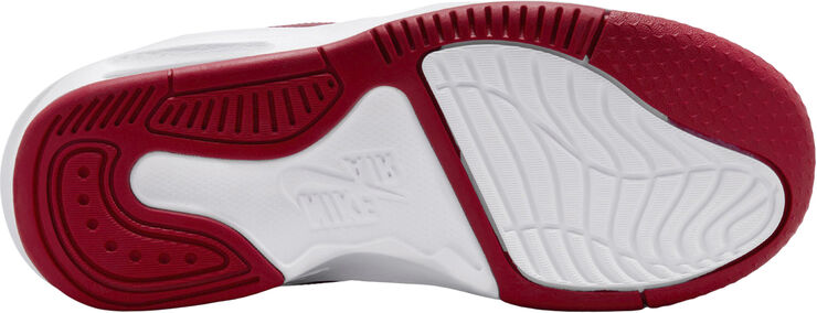 Jordan Max Aura 5 sneakers