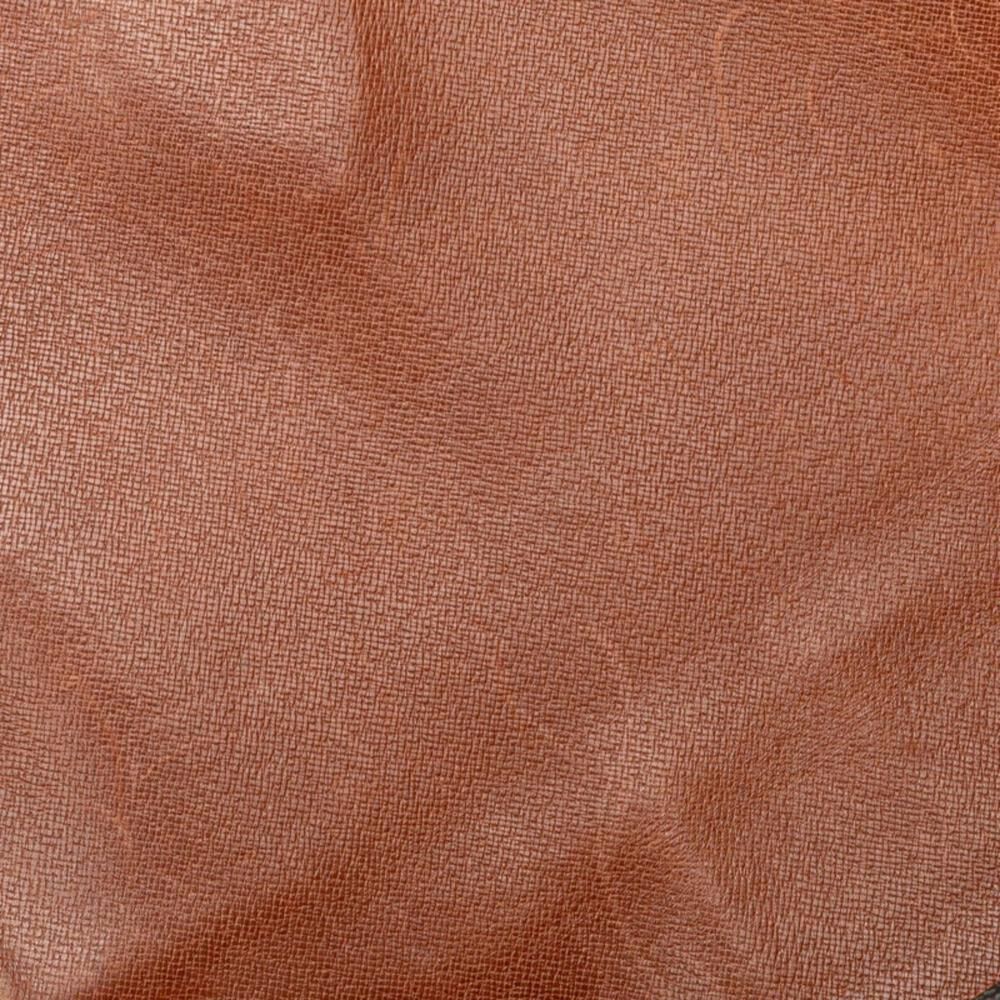 Louis Vuitton Cartouchiere