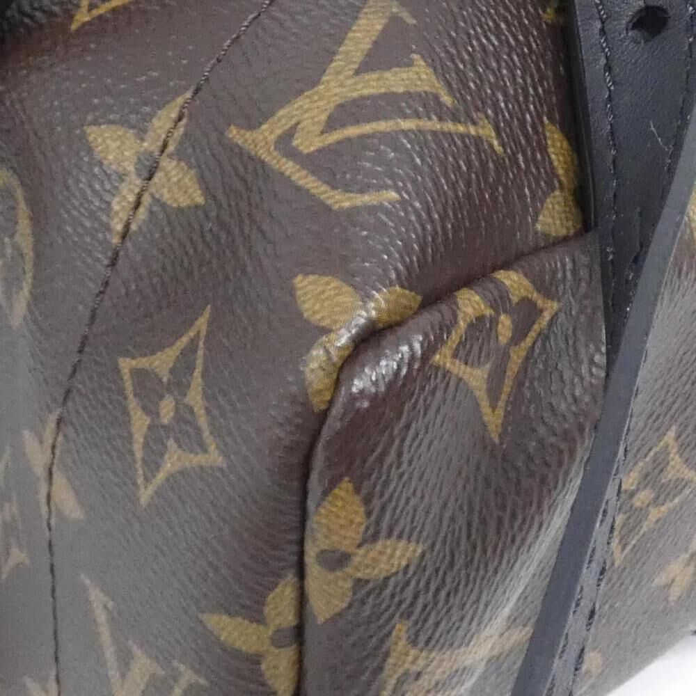 Louis Vuitton Palm Springs