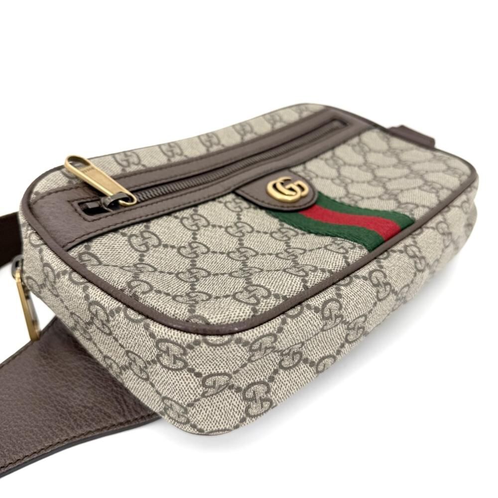 Gucci Ophidia