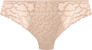 ANA BRIEF