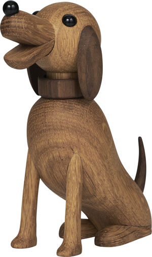 Bella - Dog, light