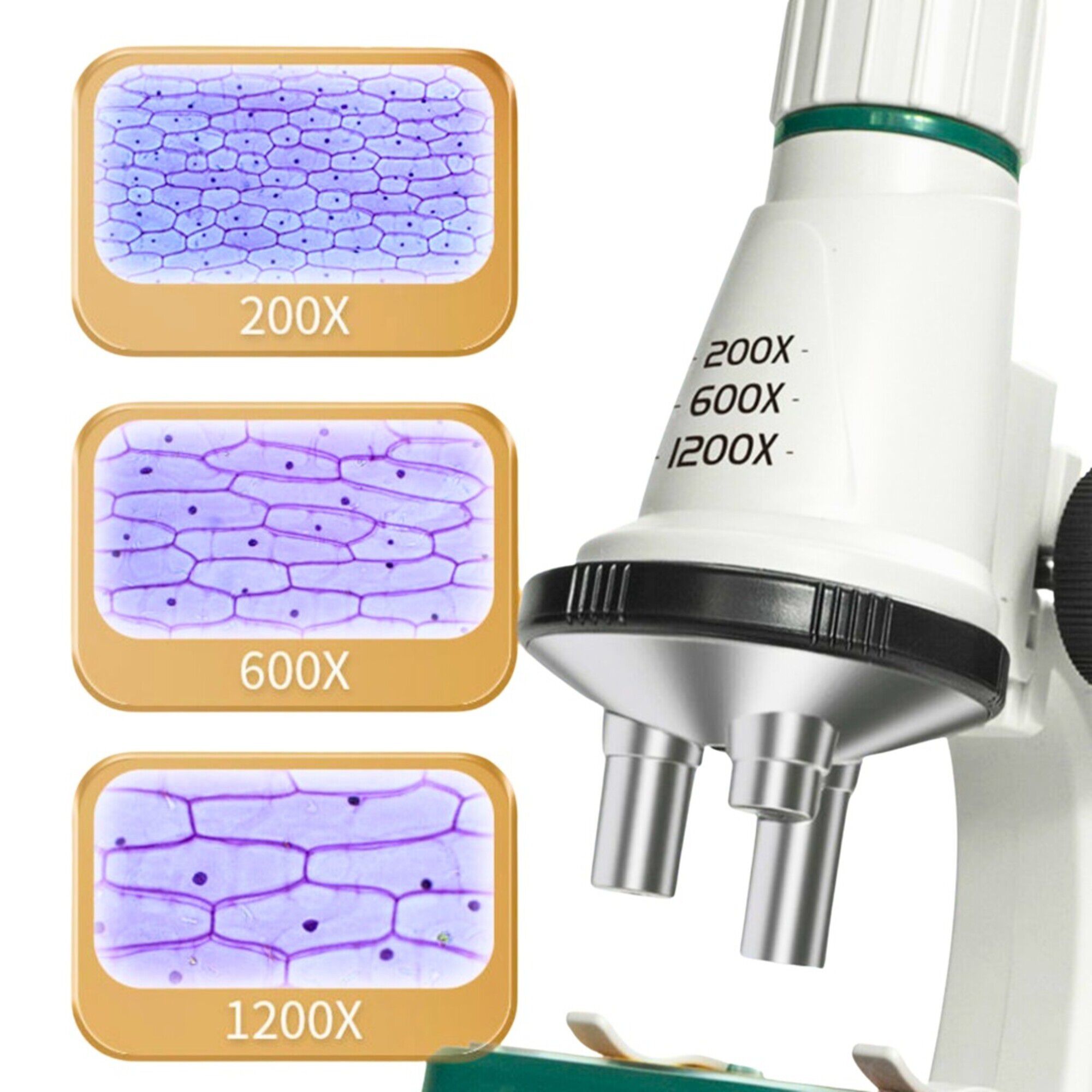 LBD MICROSCOPE 1200xZOOM