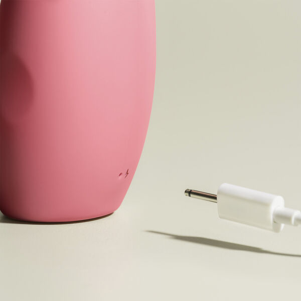 The Artist Rabbit Vibrator