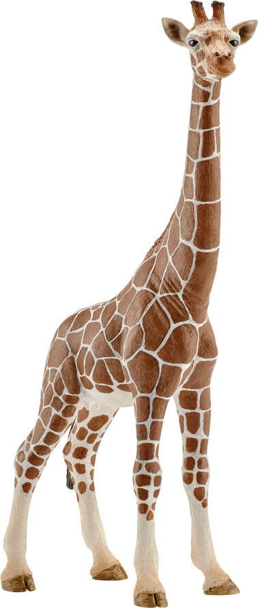 Sch Giraffe Female