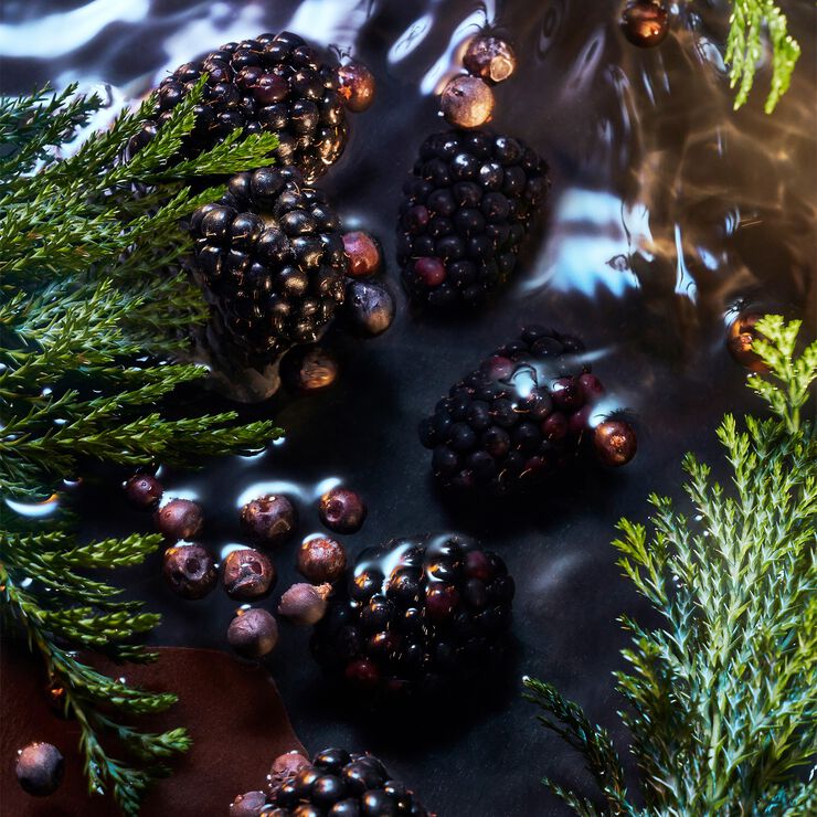 ELYSIUM NOIR POUR HOMME EDP 100 ML