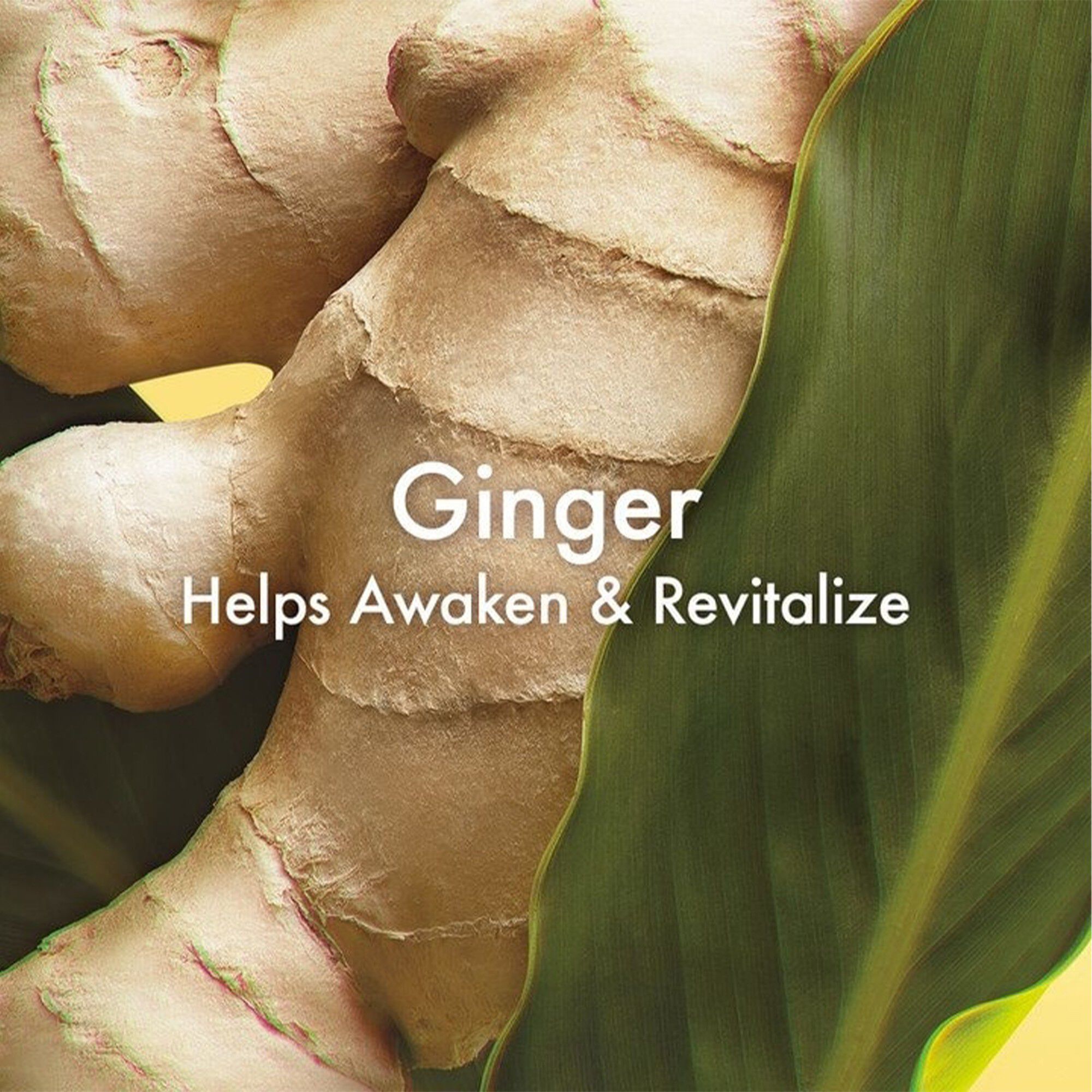 GINGER ESSENCE ROLLERBALL 10ML