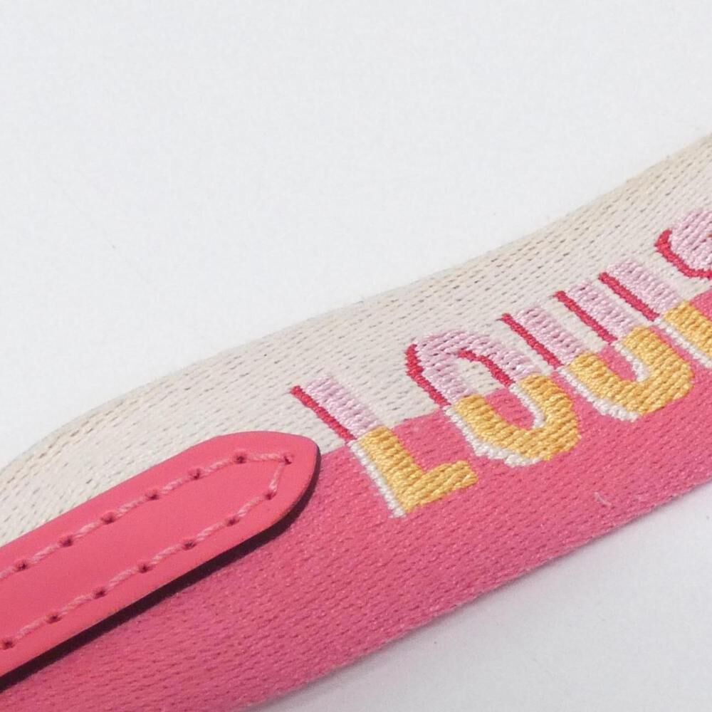 Louis Vuitton Pochette Accessoires