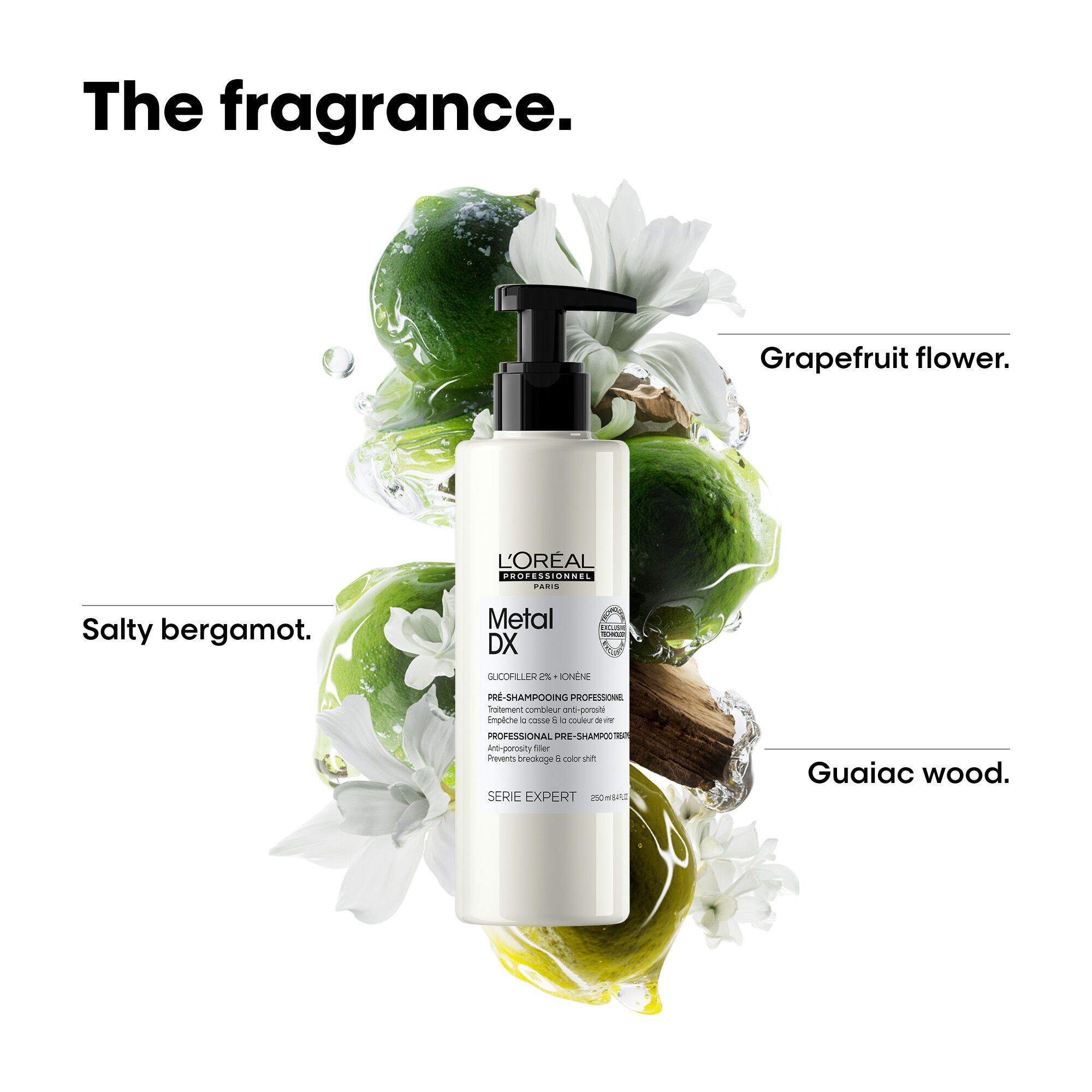 L'Or&eacute;al Professionnel Metal DX Pre-Shampoo 250ml