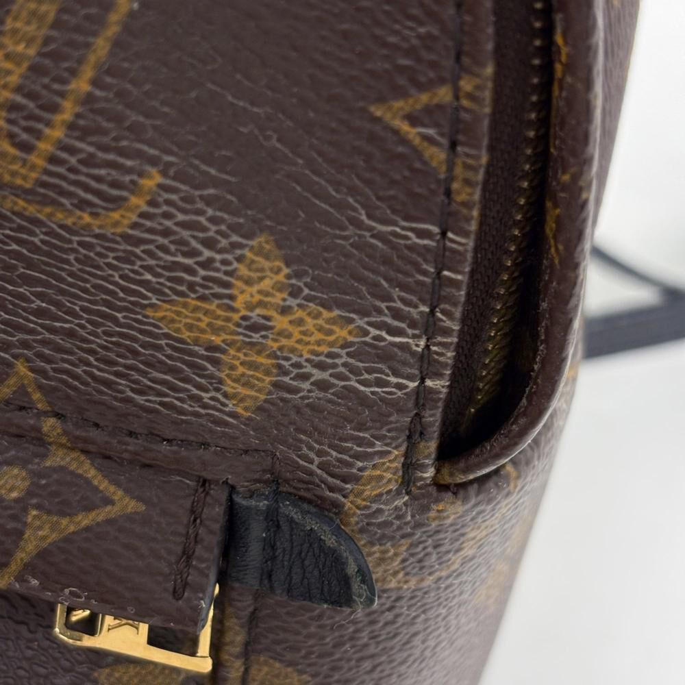 Louis Vuitton Palm Springs