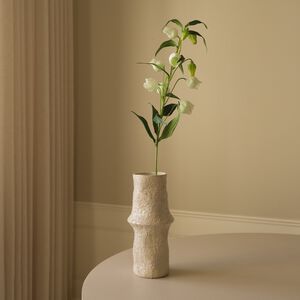 Chinese Lantern Lily Flowers