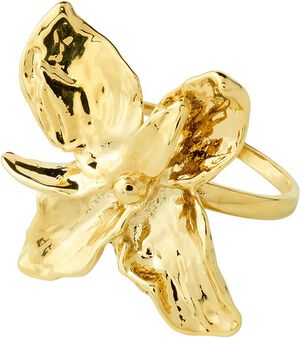 TRACE ring guldbelagt Let your TRAC