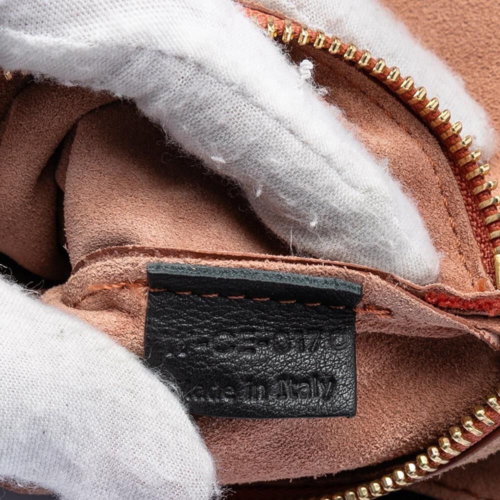 Celine Luggage