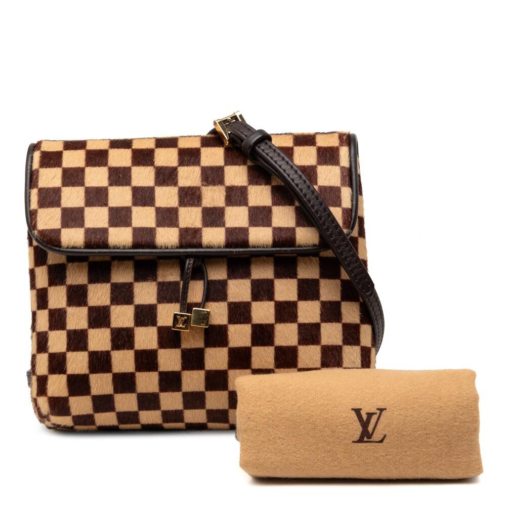 Louis Vuitton Crossbody Bag
