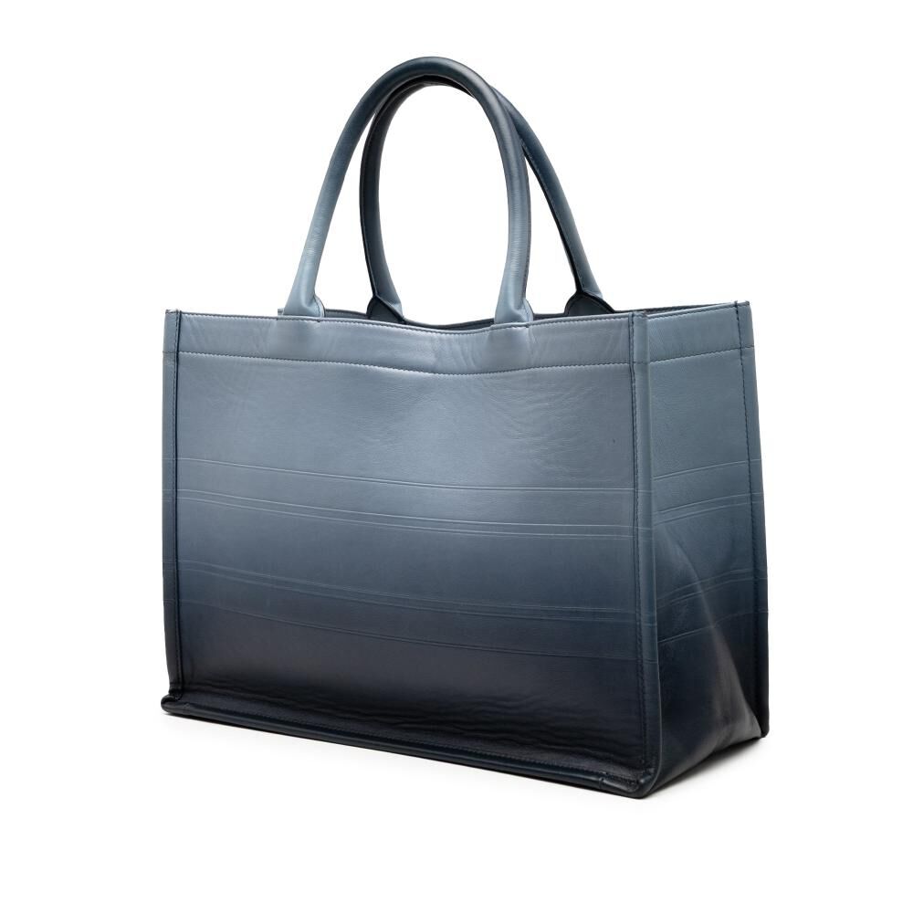 Dior Book Tote