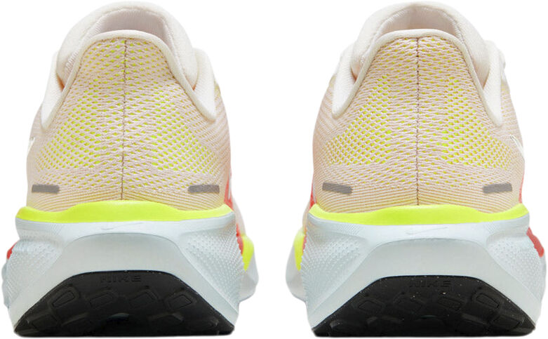 Pegasus 41 L&oslash;besko