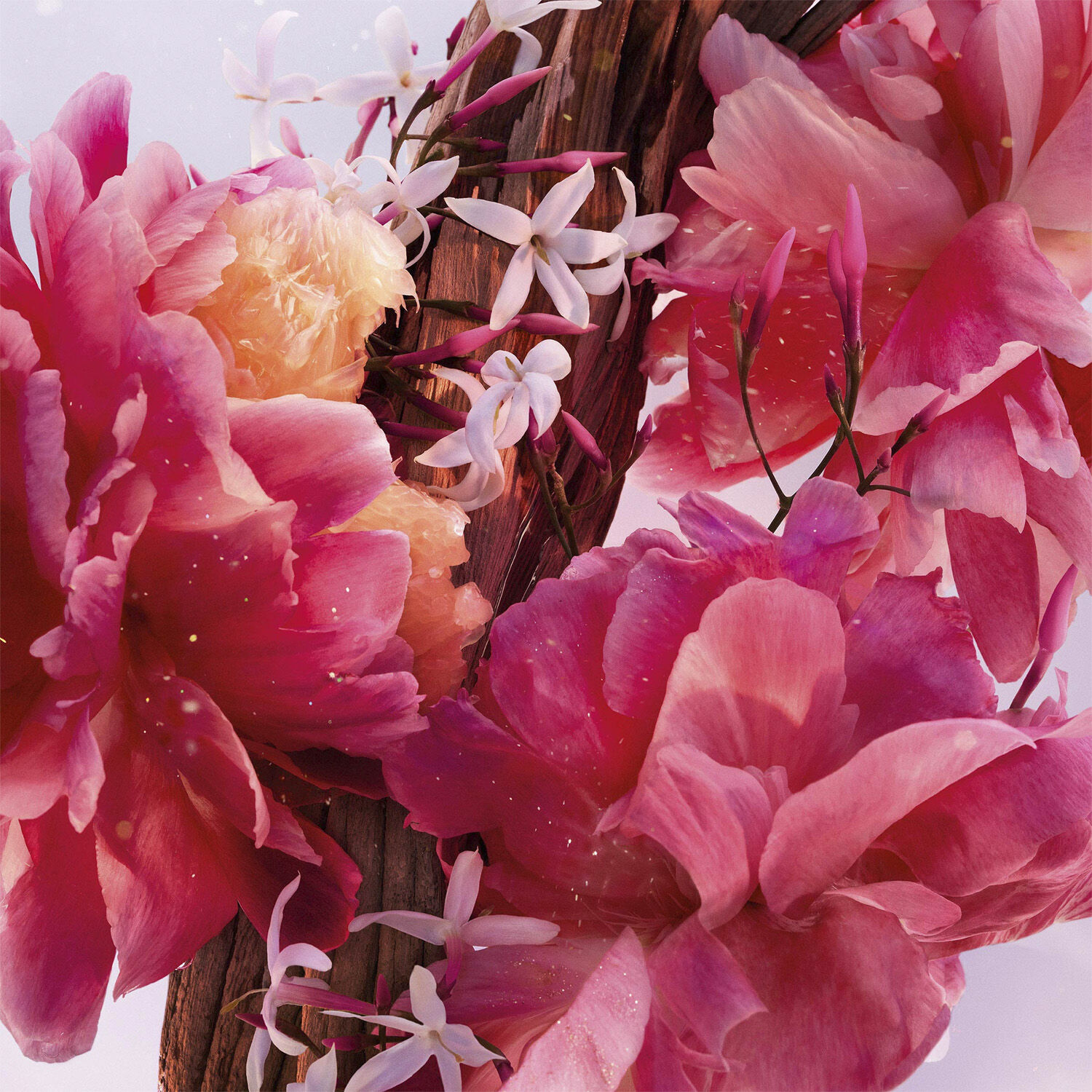 Miss Dior Parfum Roller-Pearl On-The-Go Fragrance