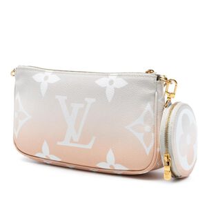 Louis Vuitton Pochette Accessoires