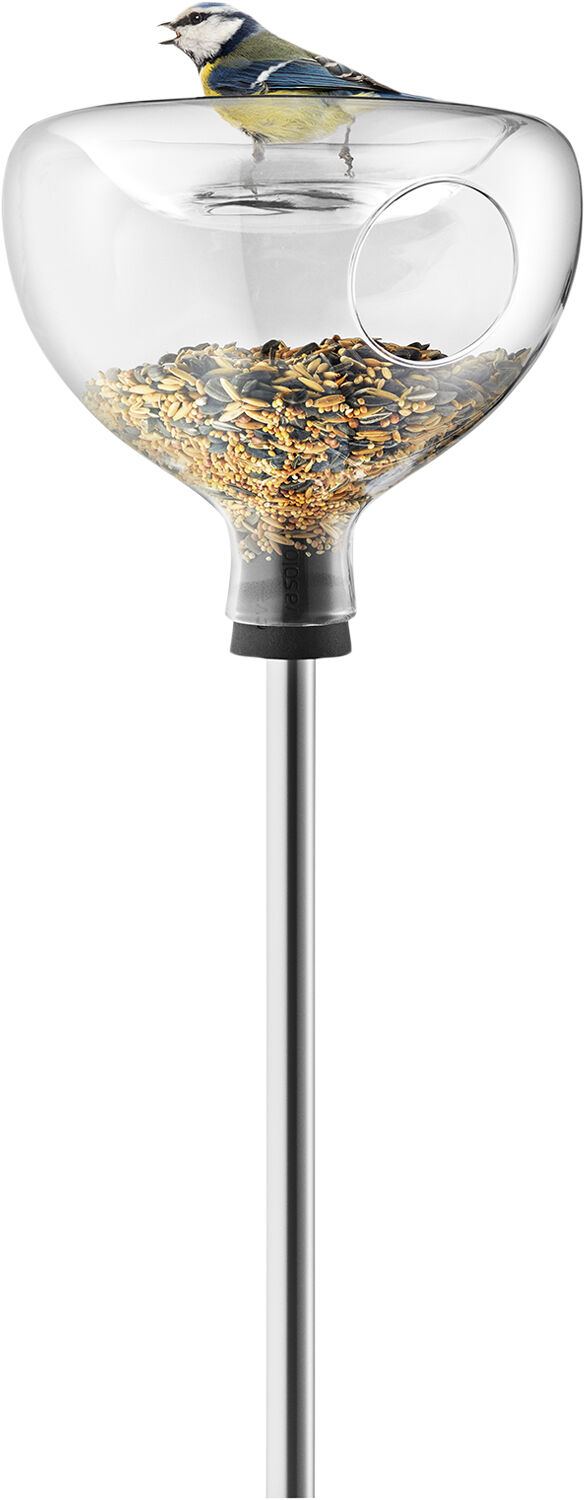 Glasfoderbr&aelig;t med vandbad