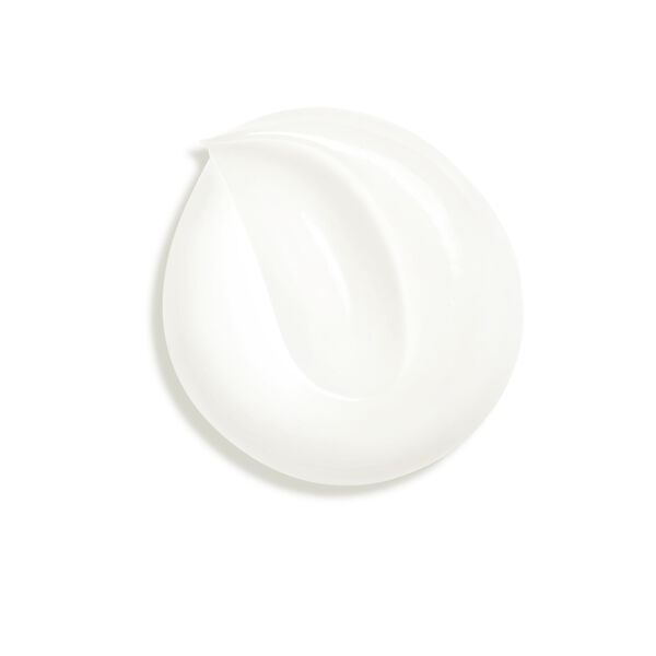Plumps Smooths Protects