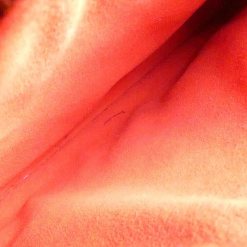 Louis Vuitton Neoneo