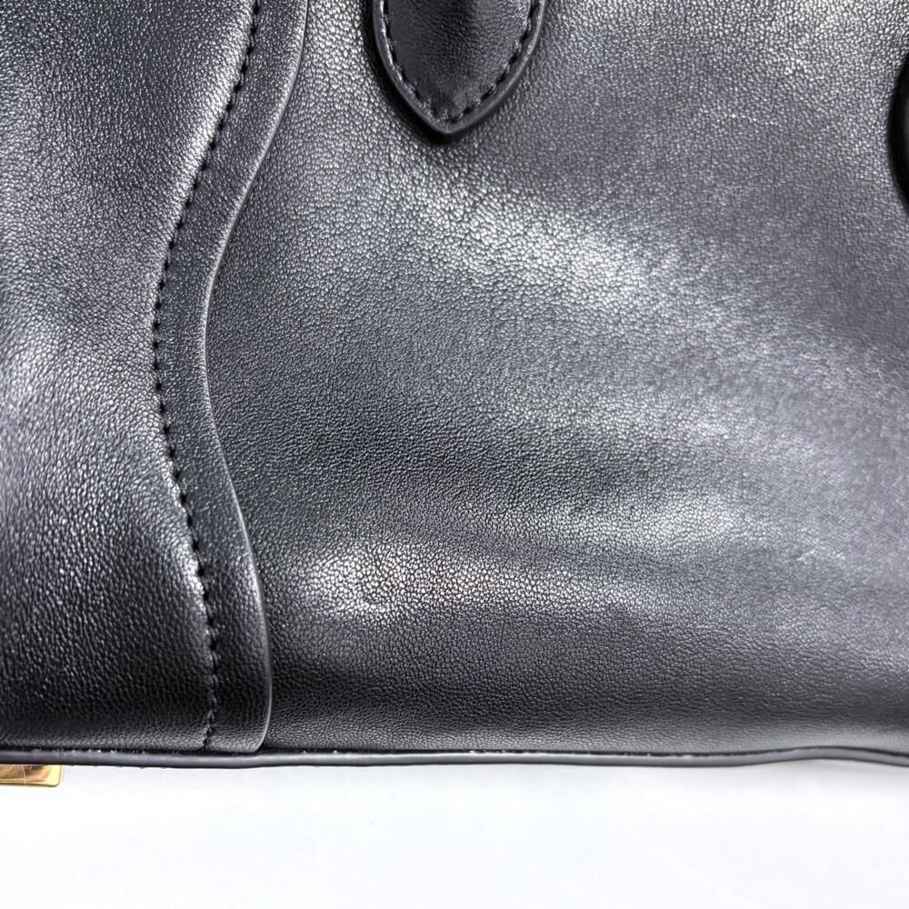 Celine Luggage