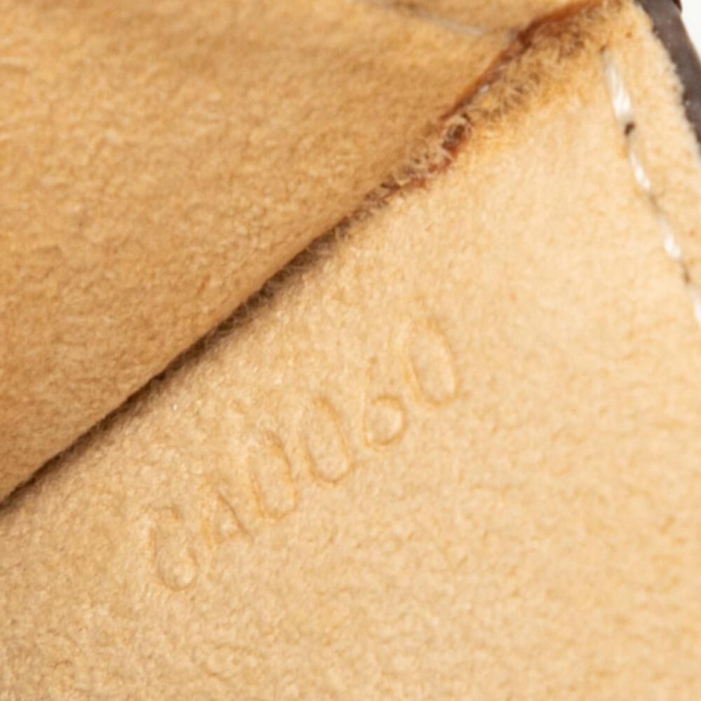 Louis Vuitton Twin Pochette