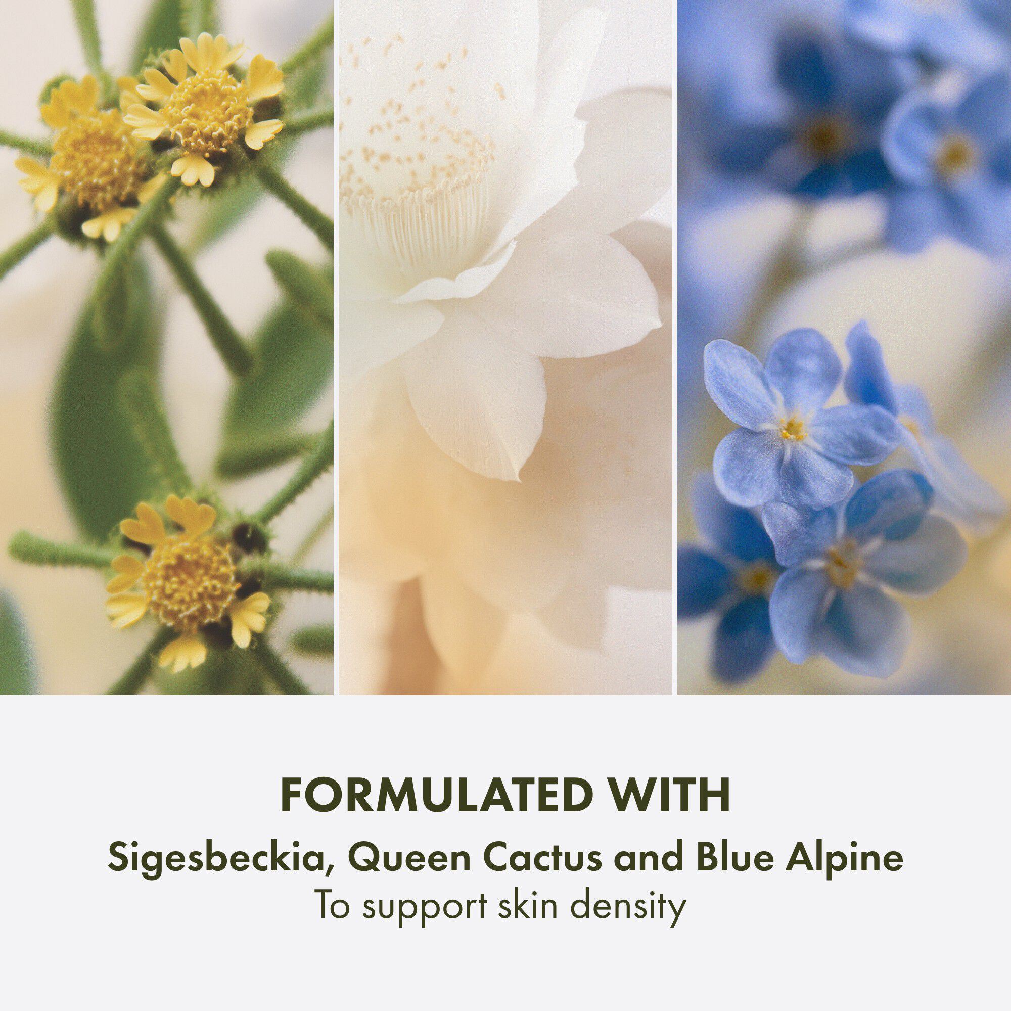 PX TRPL-ACTN YTH CREAM 50ML/1. 7OZ